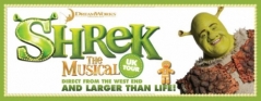 Shrek The Musical Review