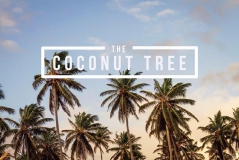 The Coconut Tree - Bristol Food Review