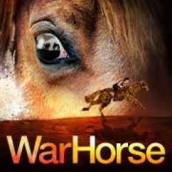 War Horse at The Bristol Hippodrome theatre review