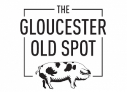 The Gloucester Old Spot in Bristol - Food Review