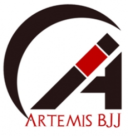 Artemis BJJ at My Gym in Bristol - Review