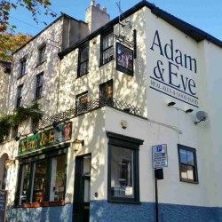 The Adam and Eve - Vegan Food Review in Bristol