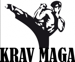 Krav Maga Review at MyGym in Bristol