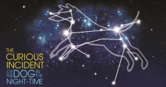 The Curious Incident of the Dog in the Night-Time at The Bristol Hippodrome