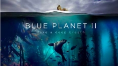 Blue Planet II Exclusive Premiere in Bristol Review