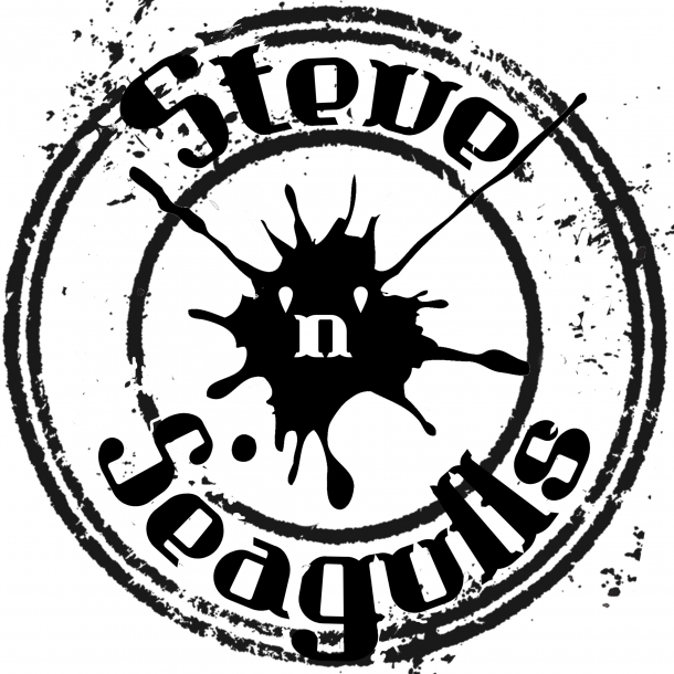 Steve’n’Seagulls at The Fleece in Bristol on 28 March 2017