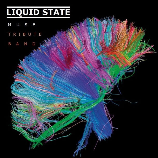 Liquid State at The Fleece in Bristol on 14 March 2017