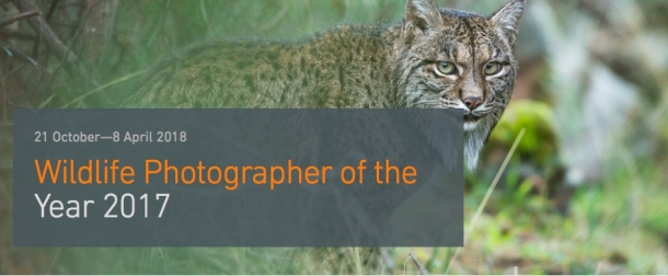 Wildlife Photographer of the Year 2017 at M Shed from Saturday 21st October 2017 - Sunday 8th April 2018