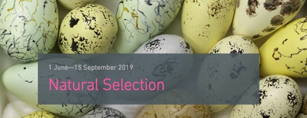 Natural Selection at Bristol Museum & Art Gallery from 1st June until 1st Sep
