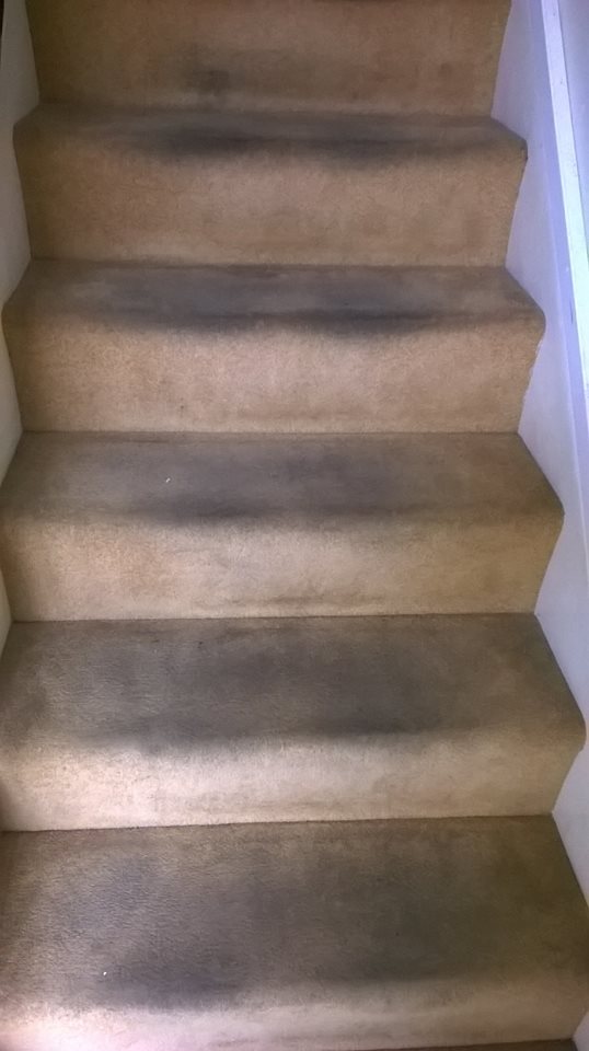 Clean up with LDM Services, Bristol - Before
