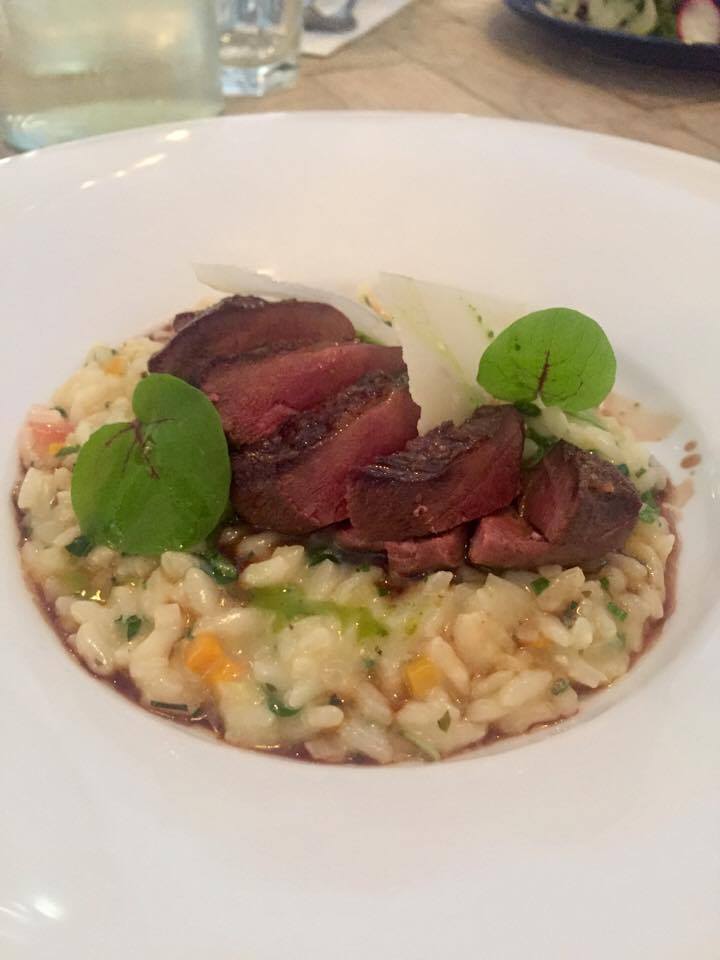 The Malago - Bristol Food Review - Pigeon