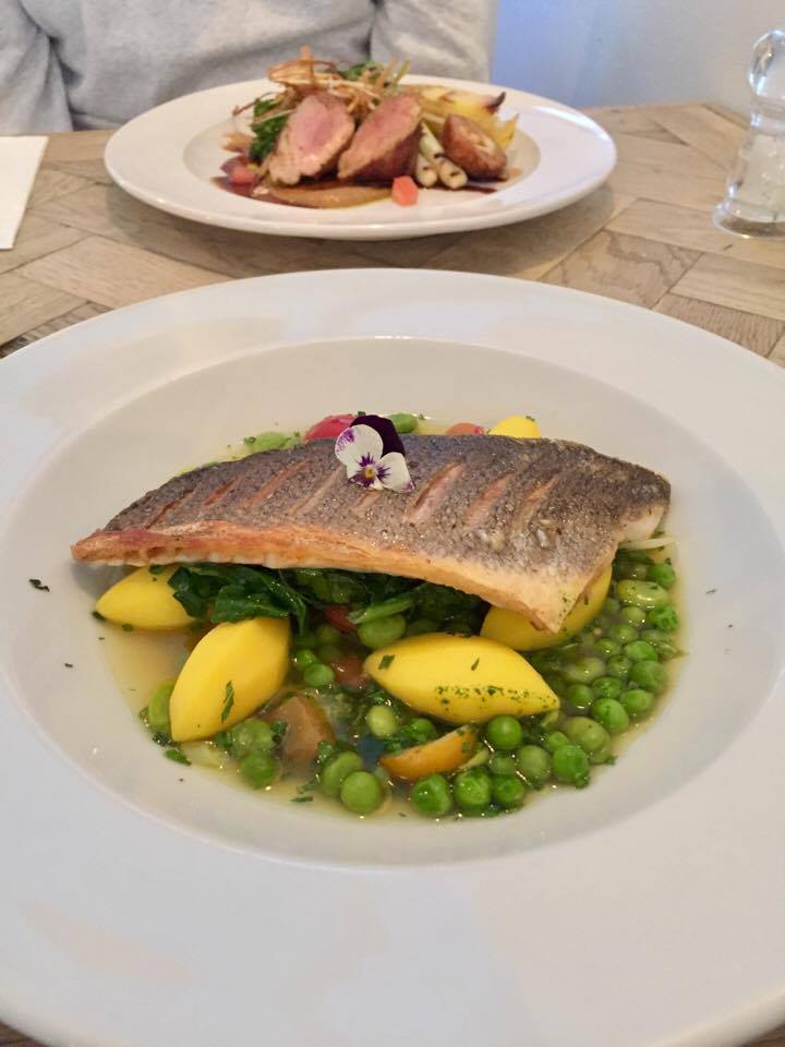 The Malago - Bristol Food Review - Sea Bass