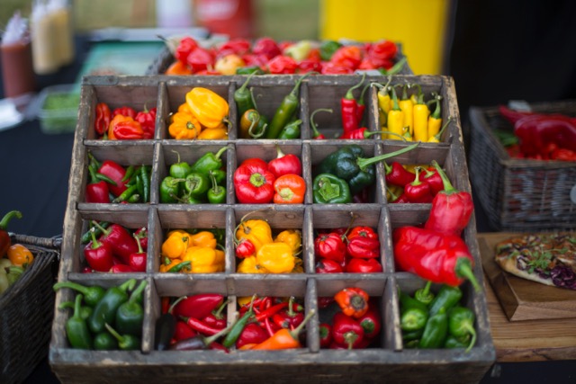 Chillies at The Cheese & Chilli Festival