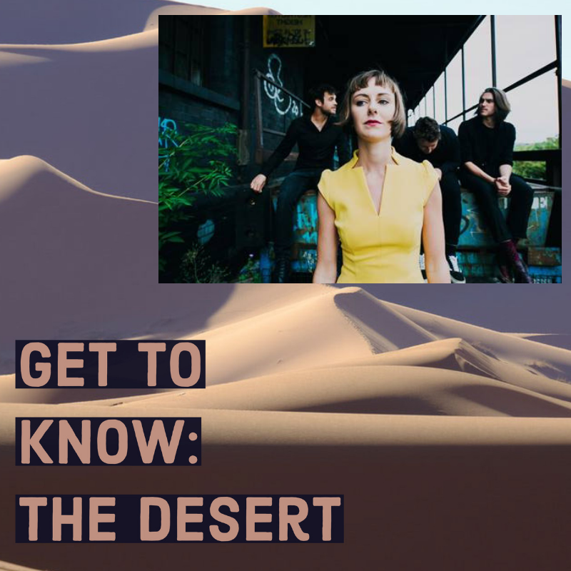 An Interview with The Desert from Bristol
