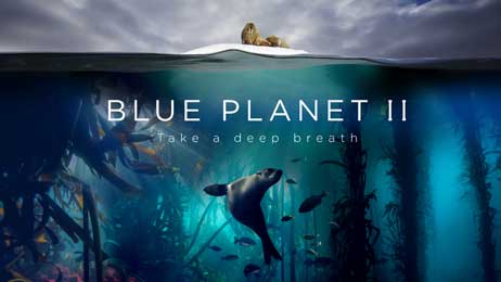 Blue Planet II premiere in Bristol - Enter now!