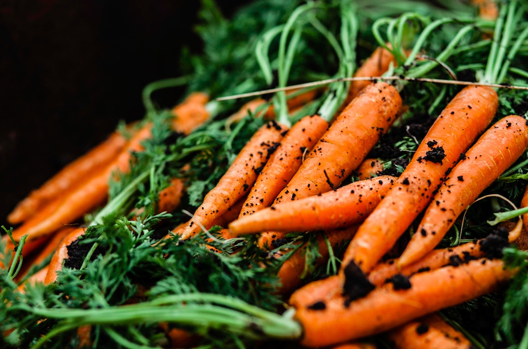Carrots at Arthur David 