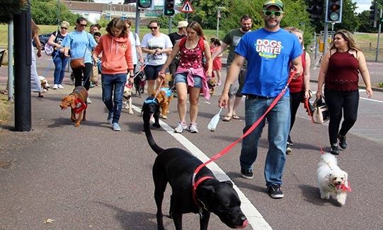 Previous Bristol Woof Walks have been hugely popular and raised over £3000 for charity.