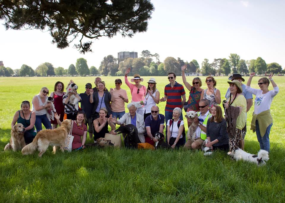 The Great Dog Walk Together in Bristol