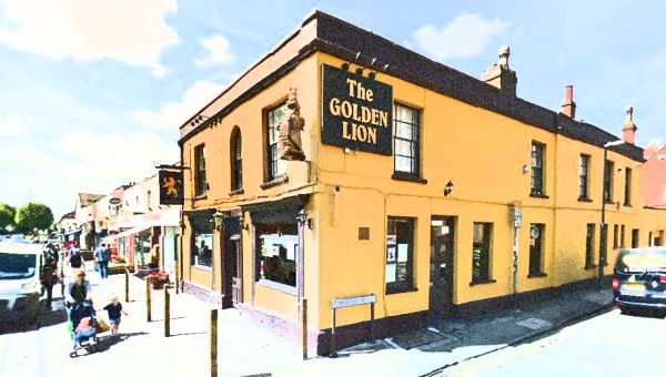 Fromage En Feu at The Golden Lion in Bristol on Friday 20 January 2017