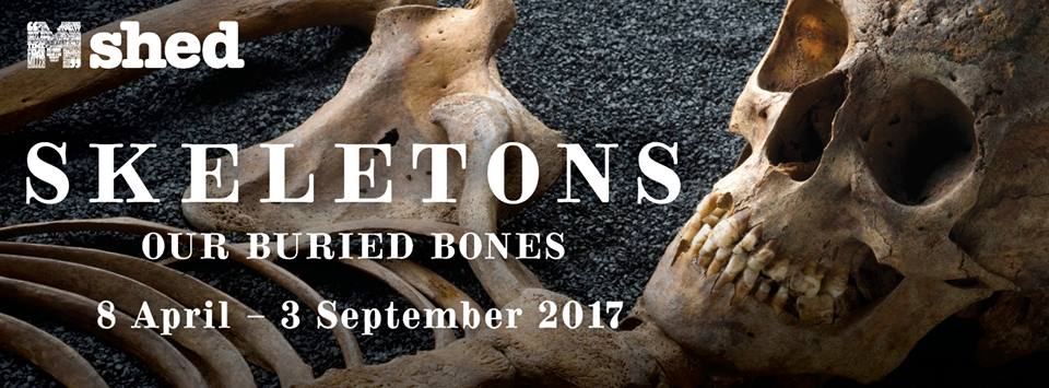 Bristol M Shed Skeletons