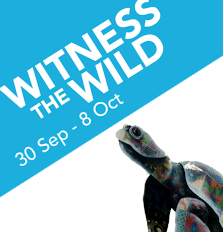 Witness the Wild at Wildscreen in Bristol