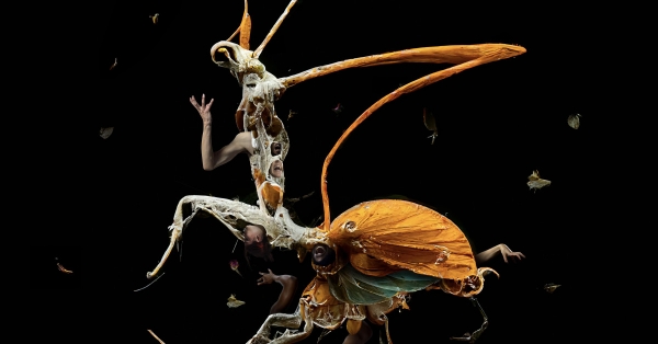 Frantic Assembly's Metamorphosis is now open at Bristol Old Vic!