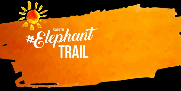 Follow the Elephant Trail at Noah's Ark Zoo Farm in Wraxall, Bristol until Saturday 3 September 2016