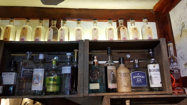Ginology - Nights of gin fuelled excellence at The White Horse in Westbury-on-Trym, Bristol