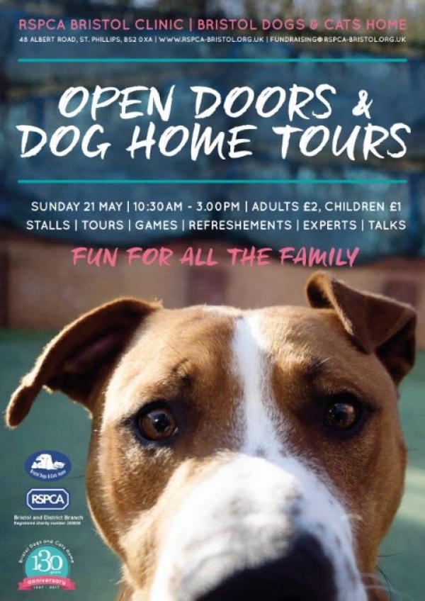 Bristol Dogs and Cats Home opens its doors for a special public event on Sunday 21st May 2017