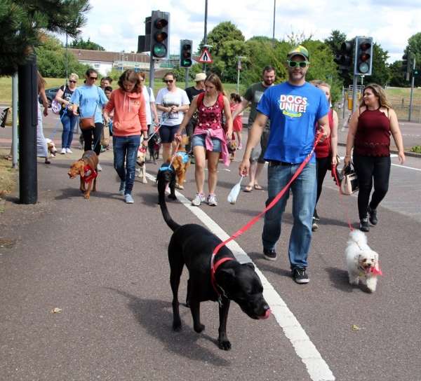 Bristol Woof Walk 2017 in aid of Guide Dogs - Saturday 29th July