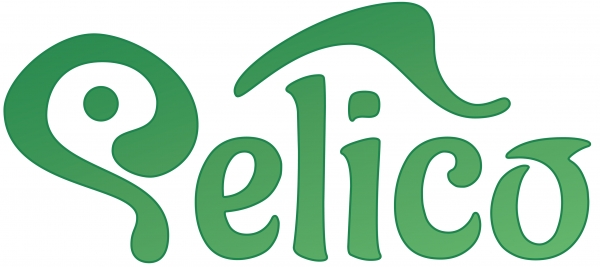 The first taste of Pelico – a new Bristol business