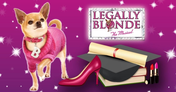 Bristol dogs wanted for Legally Blonde audition