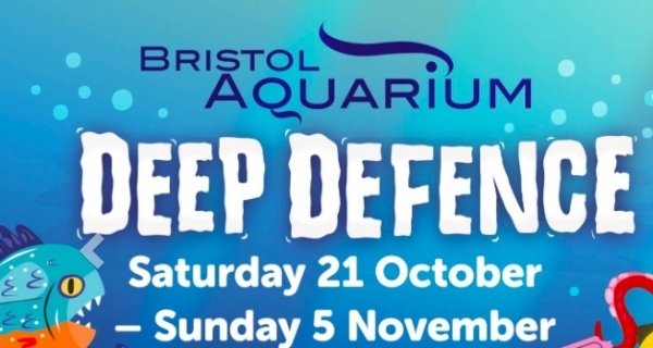 Octopus Weekend at Bristol Aquarium on Saturday 7th - Sunday 8th October 2017
