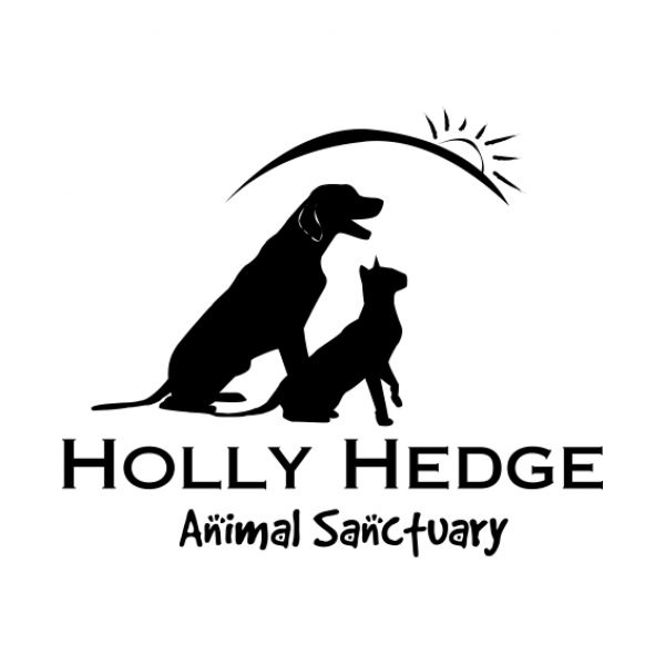 Holly Hedge Animal Sanctuary in Bristol: Adopt or Become a Volunteer ‘Cuddler’