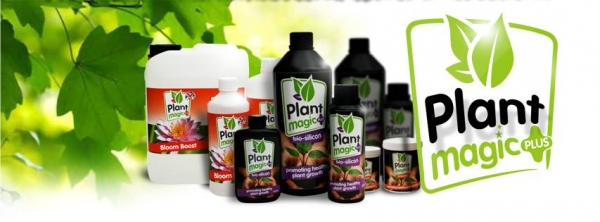 Plant Magic - Bristol Business of the Week