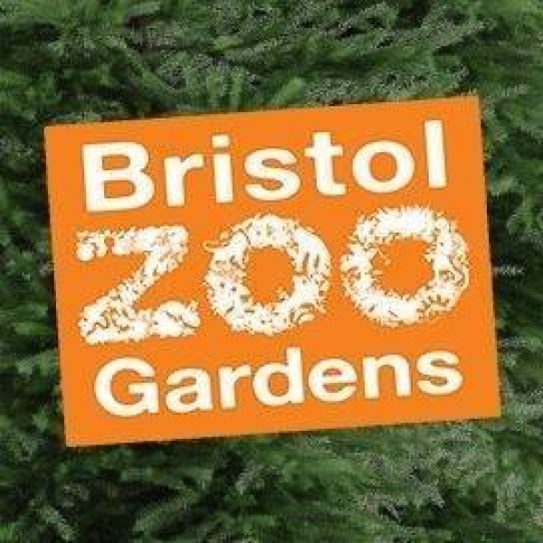 Living With Spiders at Bristol Zoo Gardens on Tuesday 14th November 2017