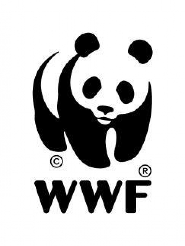 Bristol residents called to partake in WWF’S EARTH HOUR on Saturday 24th March 2018