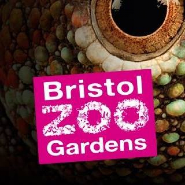 Guess Who? at Bristol Zoo from Tuesday 1st May to Friday 31st August 2018