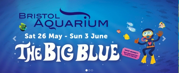 The Big Blue at Bristol Aquarium from Saturday 26th May to Sunday 3rd June 2018