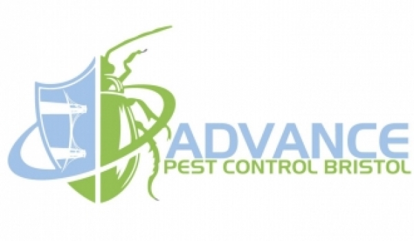 Getting to Know Advance Pest Control in Bristol