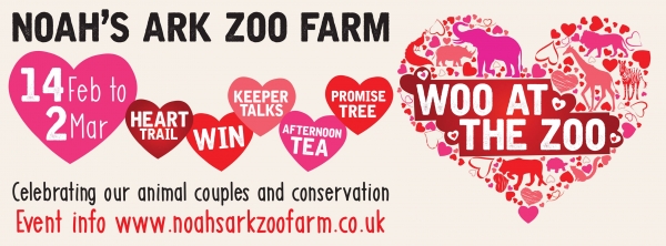 Woo at the Zoo at Noah's Ark Zoo Farm from Thursday 14th February until Saturday 2nd March 2019