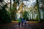 Plan a wintry day out for all the family at Westonbirt Arboretum