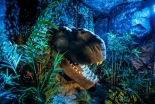 A dinos-awesome experience is coming to Avon Valley this weekend