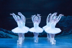 Swan Lake Review