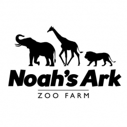 Noahs Ark Zoo Farm in Bristol review