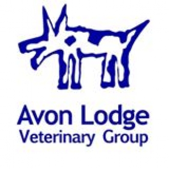 Avon Lodge Veterinary Clinic - Bishopsworth