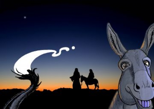 The Nativity - A Donkey's Tale at The Redgrave Theatre on 8th December 2018