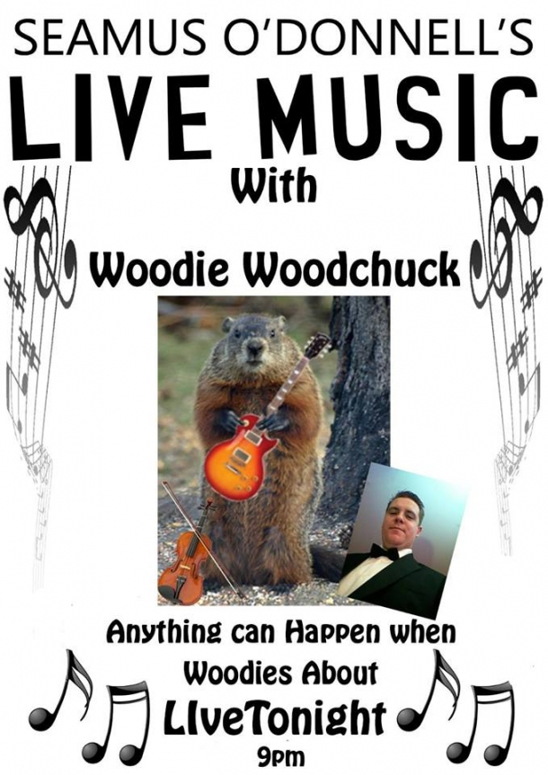 WoodChuck at Seamus O'Donnell's in Bristol on Thursday 24 October 2019