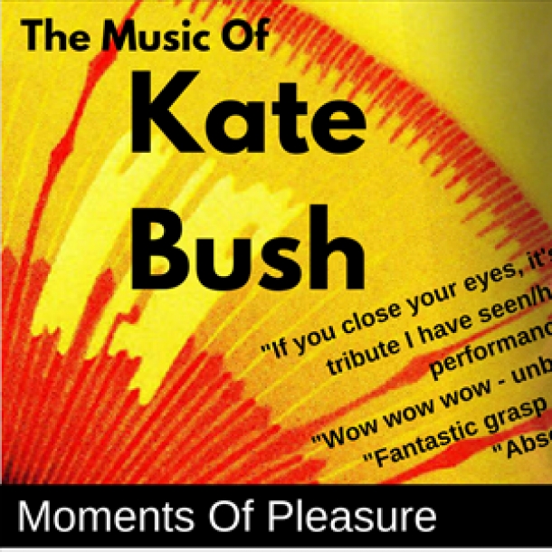 Moments of Pleasure - The Music of Kate Bush at Fiddlers Club in Bristol on Saturday 29 February 2020
