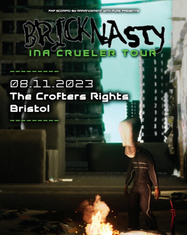 Bricknasty